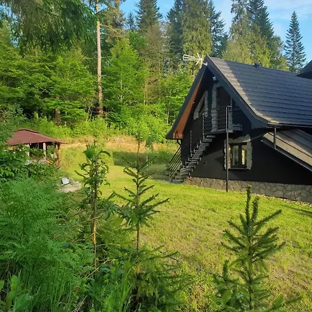 Villa W Cisnej Pod 1. Cisna Exterior foto